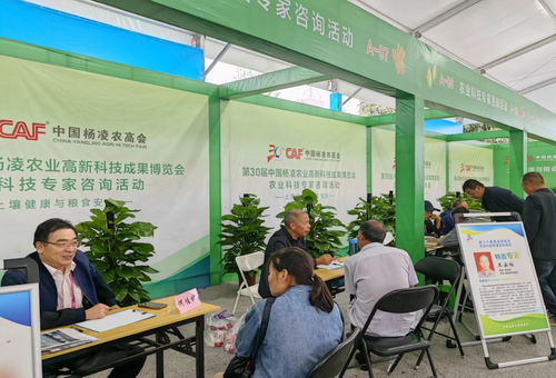 第三十屆中國楊凌農(nóng)業(yè)高新科技成果博覽會開幕，揭秘現(xiàn)代農(nóng)業(yè)技術(shù)咨詢新趨勢